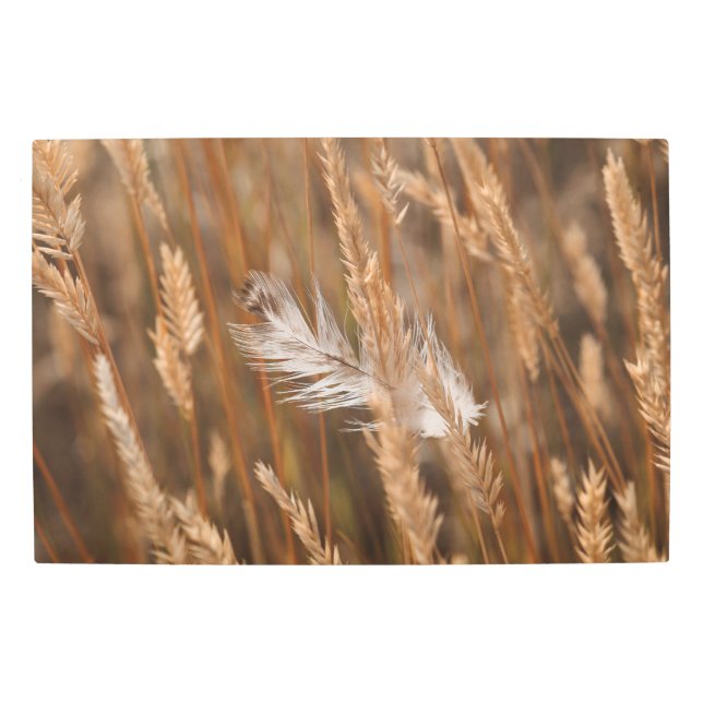 黄金エレガントの牧草地の草の白い羽 メタルプリント (正面)