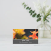 黄金カラフルの夕暮れの紅葉 名刺 (スタンド正面)