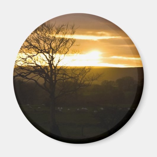 黄金地平 マグネット (正面)