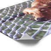 黄金時代 ポスター (角)