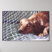 黄金時代 ポスター (正面)