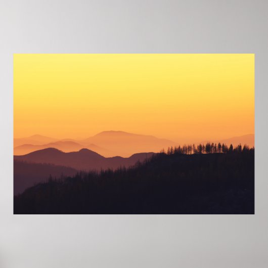 黄金時間の森の風景の写真 ポスター (正面)