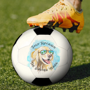黄金期のプンおもしろい退職 サッカーボール