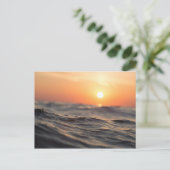 黄金期の水体 シーズンポストカード (スタンド正面)