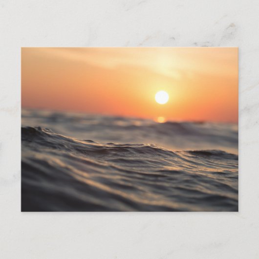 黄金期の水体 ポストカード (正面)