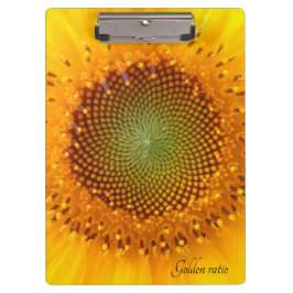 黄金比、ひまわりクリップボード クリップボード