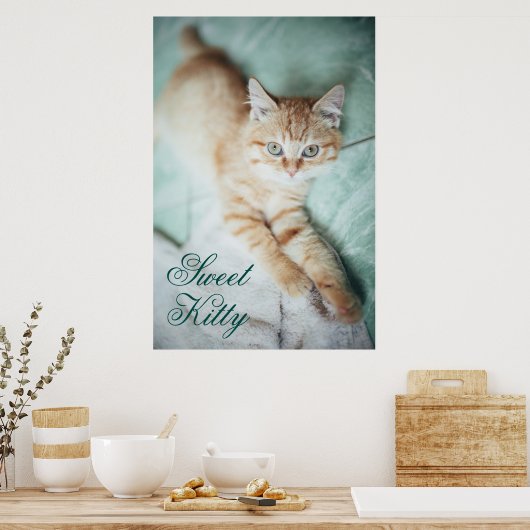 黄金色の子猫が横たわっている ポスター (キッチン)