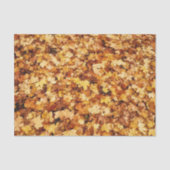 黄金色の秋のイロハカエデの葉 薄葉紙 (正面)