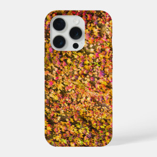 黄金色の秋の色　ツタの壁 iPhone 15 PROケース