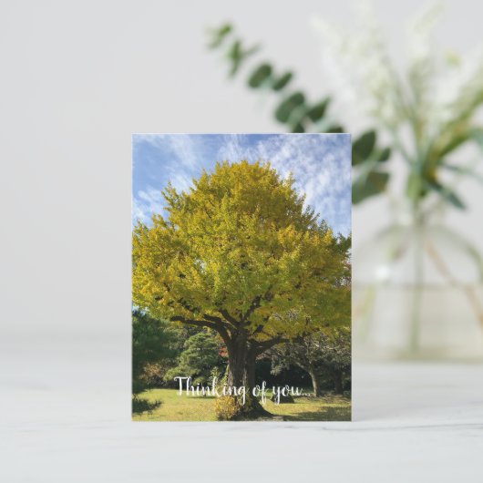 黄金銀杏の木 ポストカード (スタンド正面)
