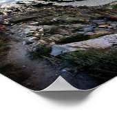 黄金階段 – ジョン・ミュア歩道 ポスター (角)