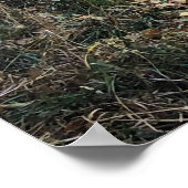 黄金。コロラド州 ポスター (角)