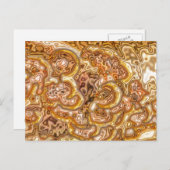 黄金 ポストカード (正面/裏面)