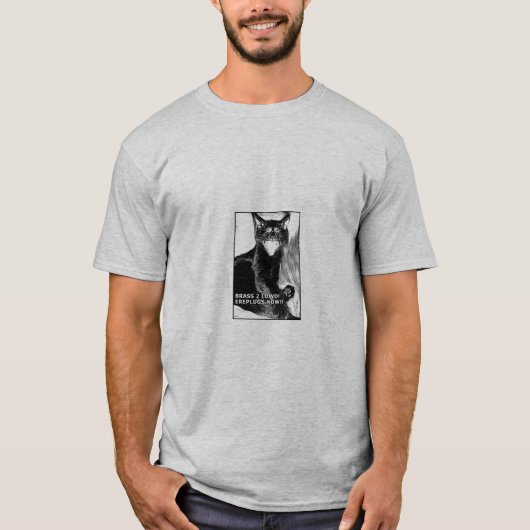 黄銅2のlowd、今ereplug! tシャツ (正面)