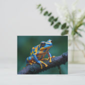 黄青ガエル ポストカード (スタンド正面)