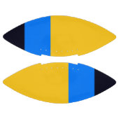 黄青 アメリカンフットボール (パネル)