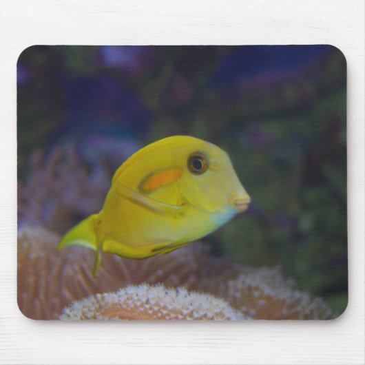 黄魚 マウスパッド (正面)