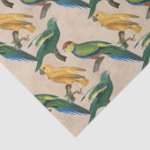 黄鳥と青鳥のタンデコページ 薄葉紙 (詳細)