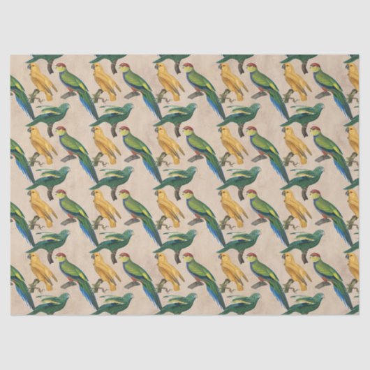 黄鳥と青鳥のタンデコページ 薄葉紙 (正面)