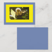 黄（昆虫）オオカバマダラ、モナーク 名刺 (正面/裏面)