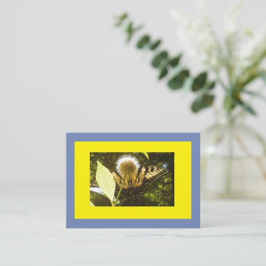 黄（昆虫）オオカバマダラ、モナーク 名刺 (スタンド正面)