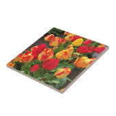 黄&赤チューリップ タイル (側面)