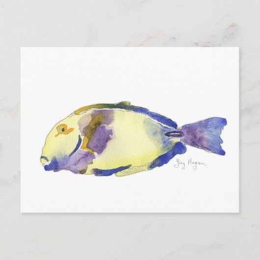黄/青魚はがき ポストカード (正面)