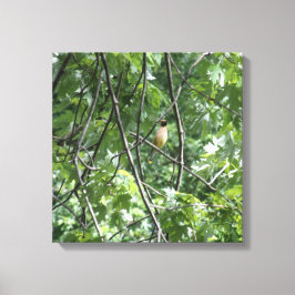 黄（鳥）ショウジョウコウカンチョウ キャンバスプリント