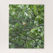 黄（鳥）ショウジョウコウカンチョウ ジグソーパズル (縦)