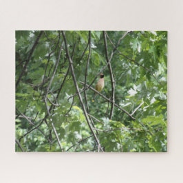 黄（鳥）ショウジョウコウカンチョウ ジグソーパズル