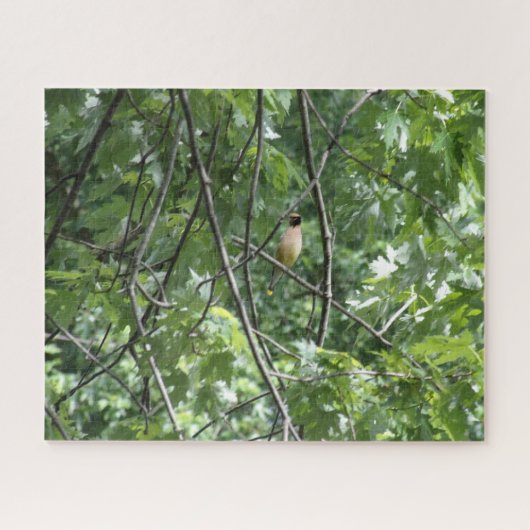 黄（鳥）ショウジョウコウカンチョウ ジグソーパズル (横)