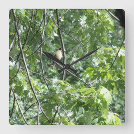 黄（鳥）ショウジョウコウカンチョウ スクエア壁時計