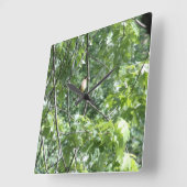 黄（鳥）ショウジョウコウカンチョウ スクエア壁時計 (傾斜)