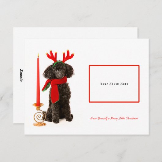 黒いおもちゃのプードルがメリークリスマス シーズンカード (正面/裏面)