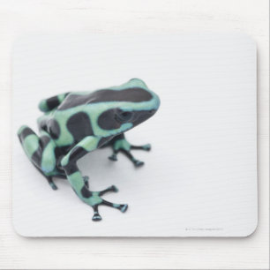 黒いおよび緑の毒投げ矢のカエル(dendrobates マウスパッド