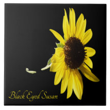 黒いかわいらし目のスーザン黒