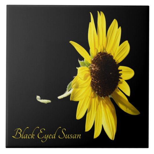 黒いかわいらし目のスーザン黒 タイル (正面)