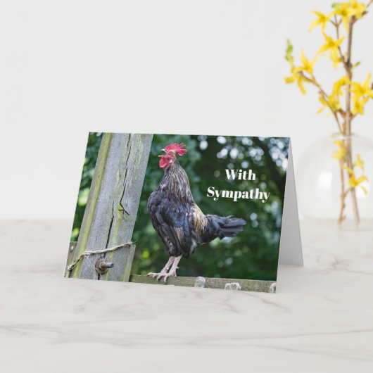 黒いかわいらし鶏の鳴く写真悔やみや弔慰 カード (黄色い花)