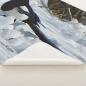 黒いくちばしのロッキーマウンテンマグピーシャーパ毛布 シェルパブランケット (3/4)