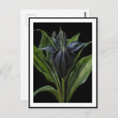 黒いこうもりの植物は黒く ポストカード (正面/裏面)