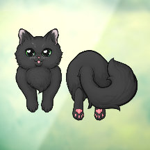 黒いふわふわの子猫のお尻