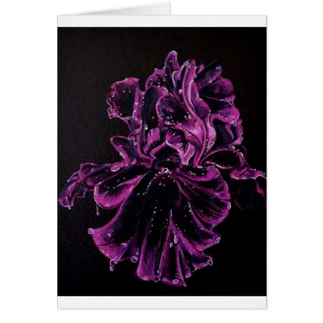 黒いアイリス (正面)