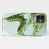 黒いアゲハチョウの幼虫の食べ物のパセリ Case-Mate iPhoneケース (裏面(横))