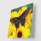 黒いアゲハチョウの蝶 スクエア壁時計 (傾斜)