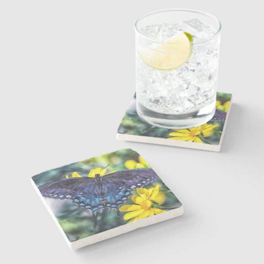 黒いアゲハチョウの黄色い花 ストーンコースター (横)