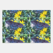 黒いアゲハチョウの黄色い花 ラッピングペーパーシート (正面3)