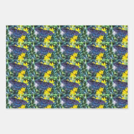 黒いアゲハチョウの黄色い花 ラッピングペーパーシート