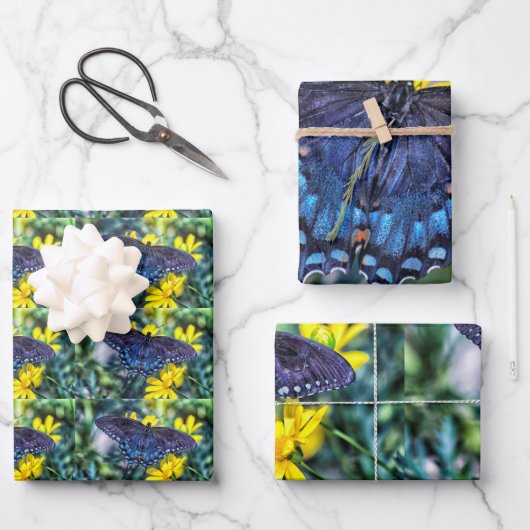 黒いアゲハチョウの黄色い花 ラッピングペーパーシート (正面)