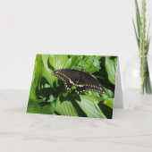 黒いアゲハチョウ斑点バタフライ写真 カード (正面)