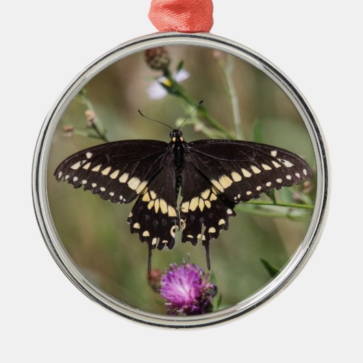 黒いアゲハチョウ メタルオーナメント (正面)